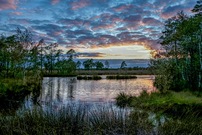Pietzmoor 2