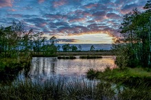 Pietzmoor 2