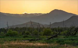 Morninglight