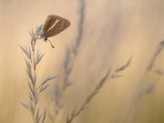 ... leicht und unbeschwert