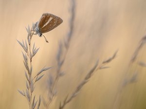 ... leicht und unbeschwert