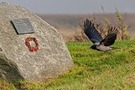 In Gedenken