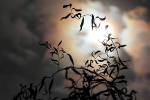 Mondnacht unter Wolken