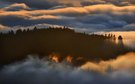 Nebelmeer ...,