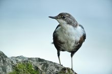 Prüfender Blick