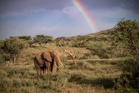 Somewhere under the rainbow...