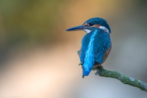 Ein Juwel der Flüsse