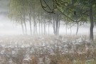 Herbstimpression