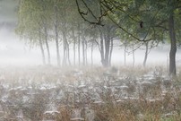Herbstimpression