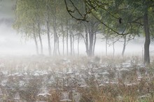Herbstimpression