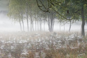 Herbstimpression