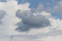 der fliegende Elefant