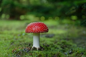 Herbstzeit