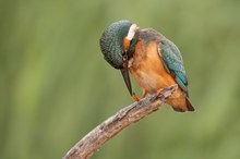 Fußpflege
