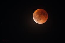 Blutmond