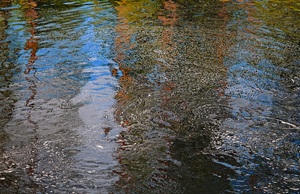 Wimmelmalbild