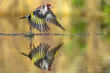 Abflug!