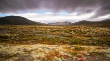 Bunt im Fjell