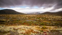 Bunt im Fjell