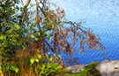 Herbst