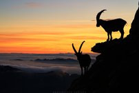 Momente, die man nie vergisst