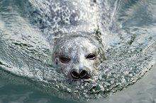 Ich mach hier die Welle