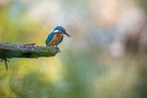 Im Einklang mit der Natur