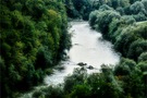 Die Alte Isar ...