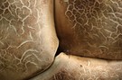 Rätselbild - Was ist denn das für eine Höhle?