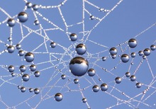 Tropfenuniversum