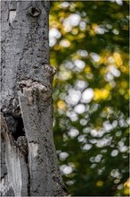 Der Herbst kommt