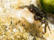 ~ Aus der Haut gefahren ~