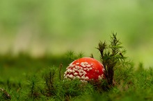 Durchbruch