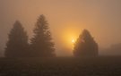 Herbstnebel