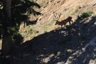 Neuer Besucher