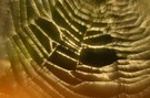 Lichtnetz