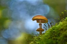 Vater und Sohn