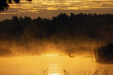 Traumkulisse