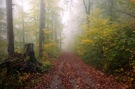 Herbstfarben