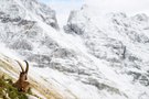 Herbst trifft Winter