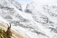 Herbst trifft Winter