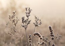fast schon winterlich