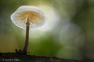 Herbstzeit