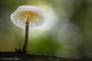 Herbstzeit