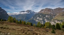 Die Stille