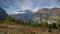 Die Stille