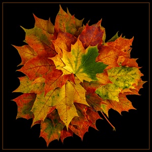 April, April im Herbst