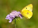 Erinnerung an den vergangenen Sommer