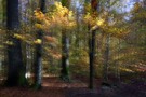 Ein Herbstbild