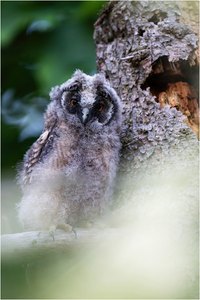 Neu und Alt